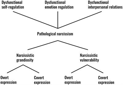 Narcissistic Personality Disorder: Are Psychodynamic Theories and the Alternative DSM-5 Model for Personality Disorders Finally Going to Meet?